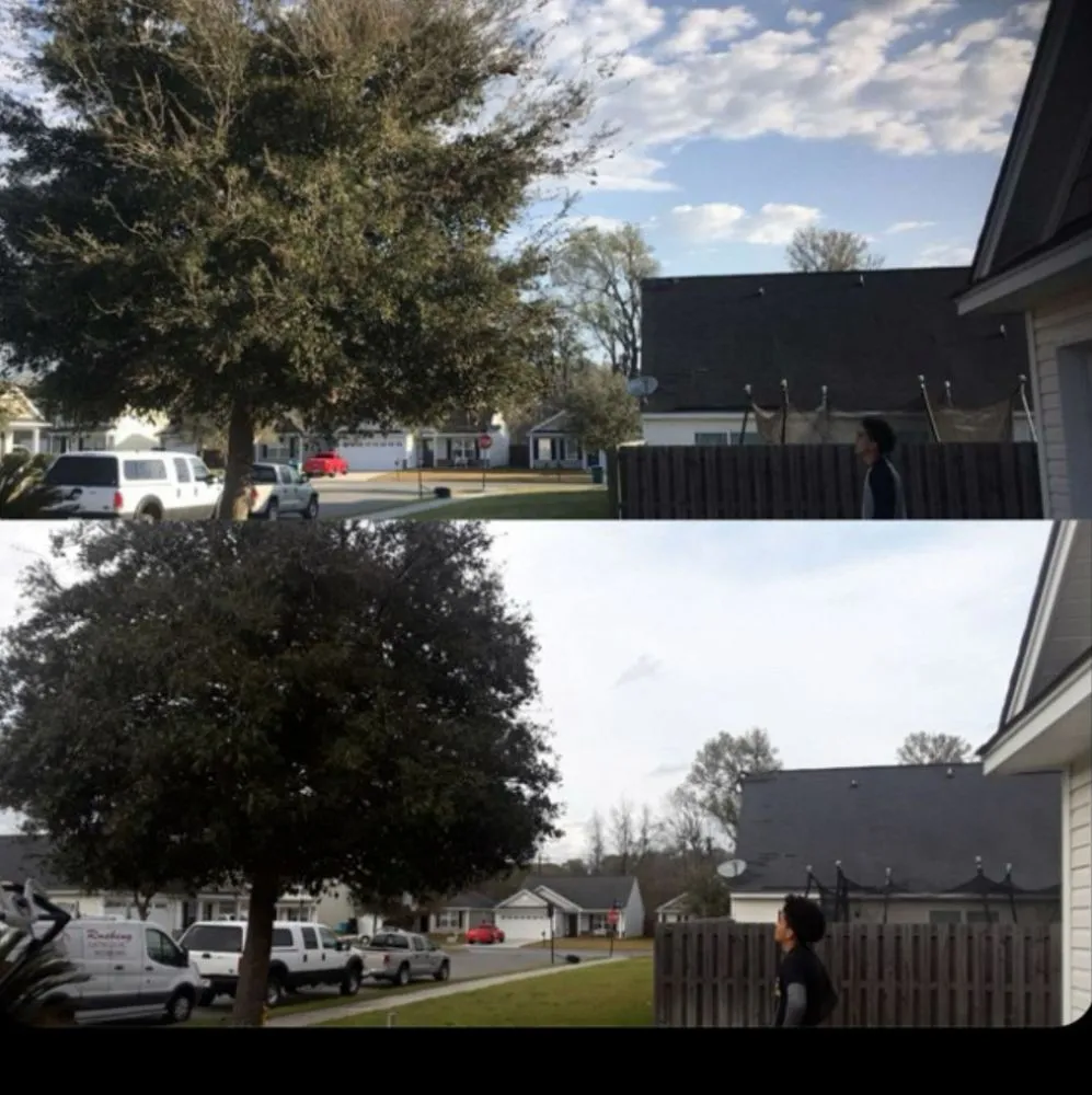 Reliable landscaping services experts serving Rincón, GA - John Son Green Wash