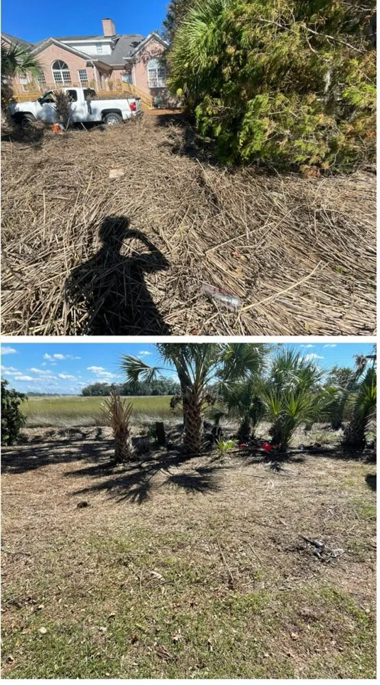 Professional landscape design for year-round maintenance in Rincón, GA by John Son Green Wash