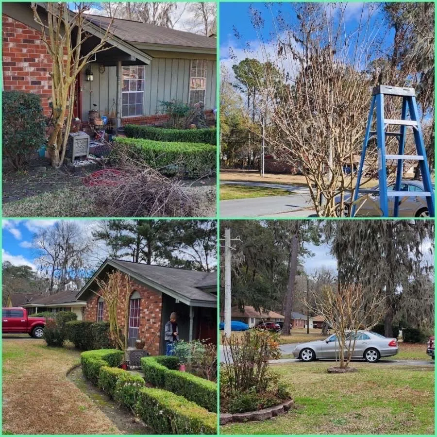 Professional outdoor landscaping in Rincón, GA by John Son Green Wash