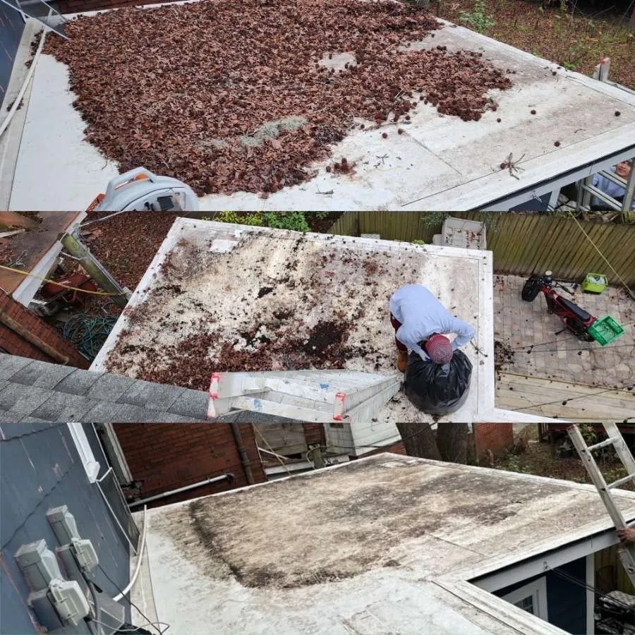 Professional landscape design experts serving Rincón, GA - John Son Green Wash