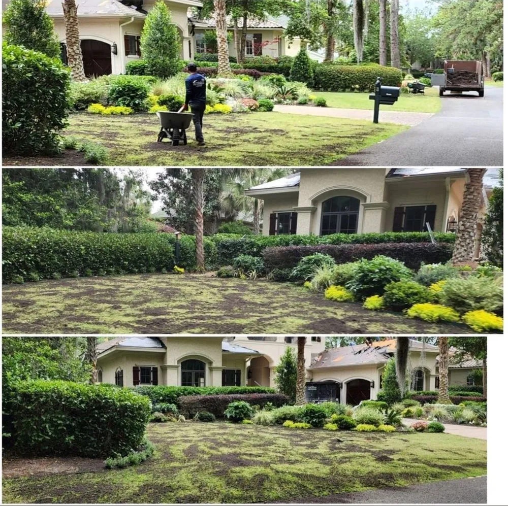 Top-rated landscape design for residential properties in Rincón, GA by John Son Green Wash