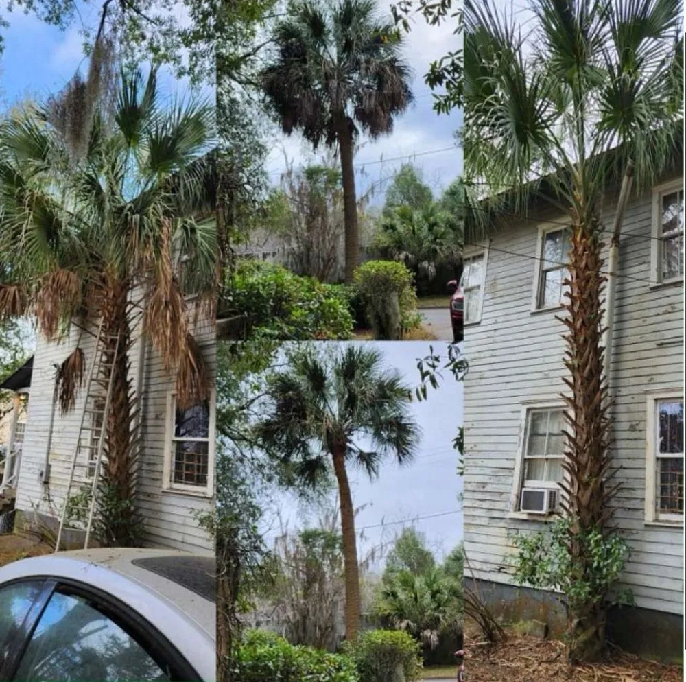 Custom landscaping services experts serving Rincón, GA - John Son Green Wash