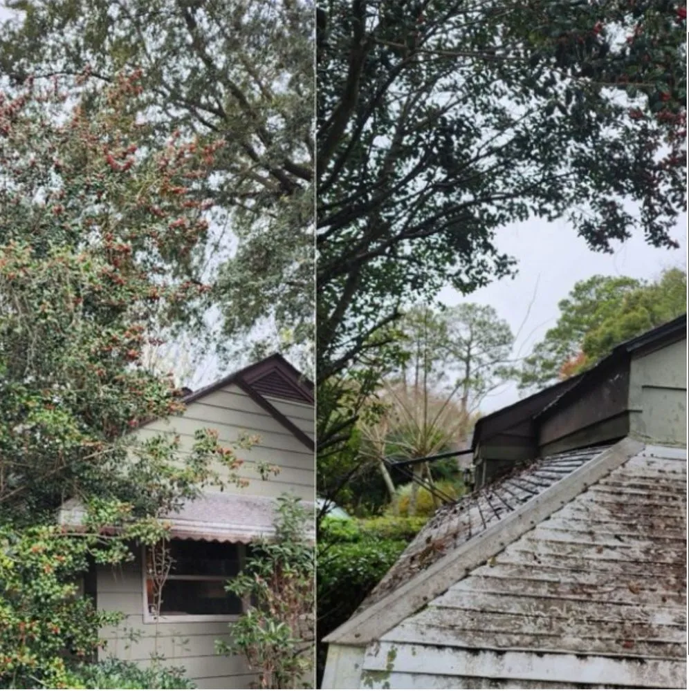 Reliable outdoor landscaping for outdoor upgrades in Rincón, GA by John Son Green Wash