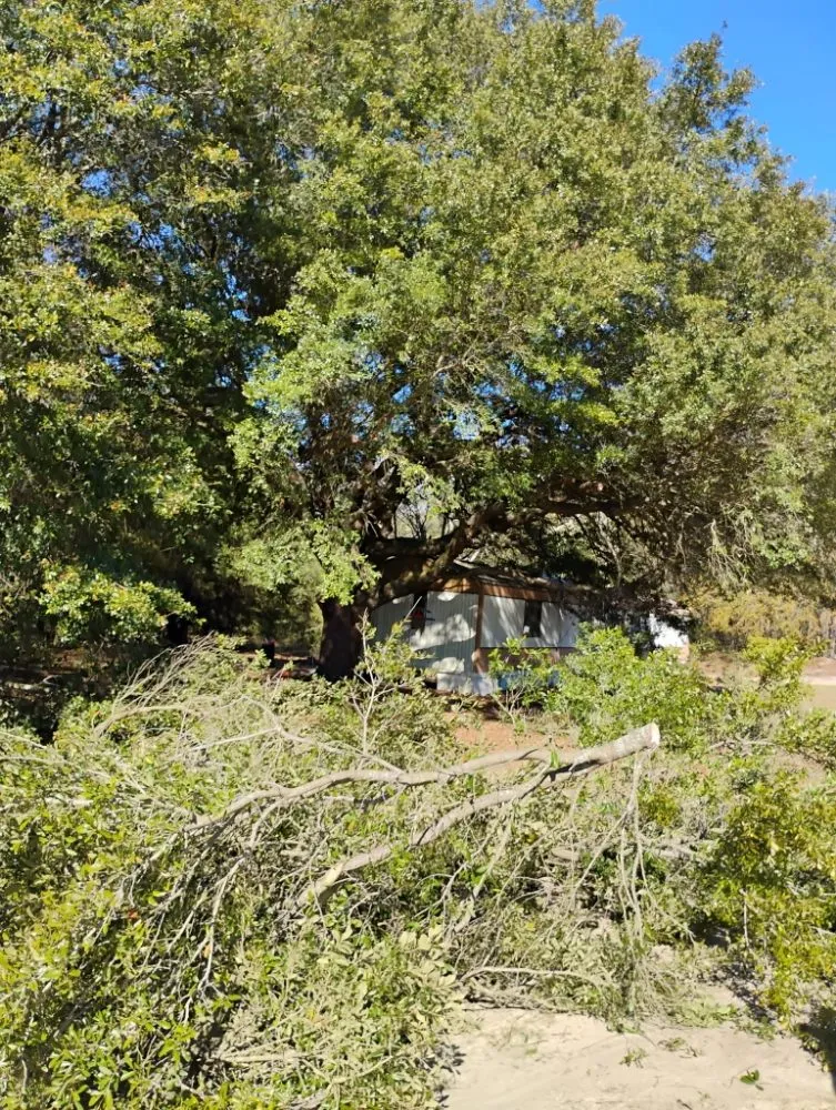 Local residential landscaping experts serving Aiken, SC - John Son Hauling Service