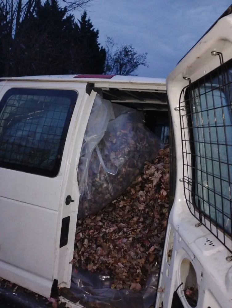 Local lawn care service in Aiken, SC by John Son Hauling Service