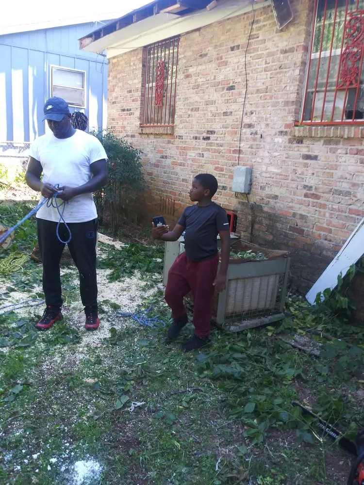 Local landscape installation in Birmingham, AL by John Tree Lawn Service