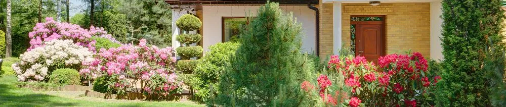 Local landscaping services in Birmingham, AL - John Tree Lawn Service