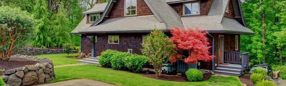 Custom yard cleanup service in Birmingham, AL - John Tree Lawn Service