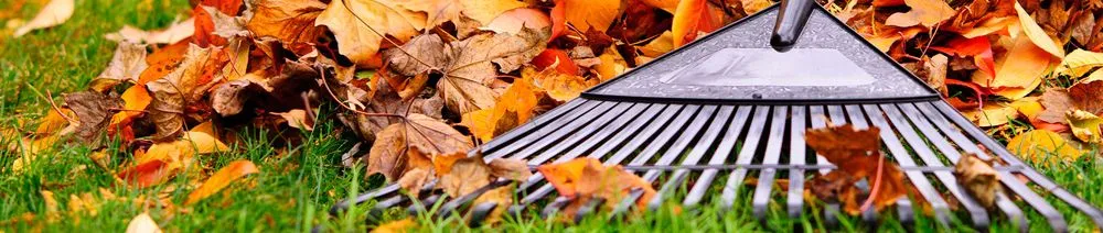 Reliable lawn mowing service in Birmingham, AL by John Tree Lawn Service