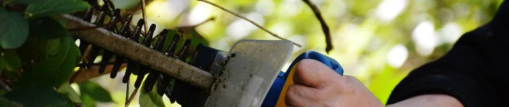 Reliable landscaping services near you across Birmingham, AL - John Tree Lawn Service