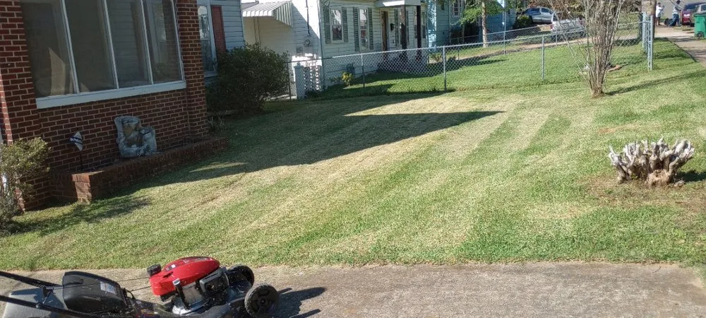 Local yard maintenance experts serving Birmingham, AL - John Tree Lawn Service