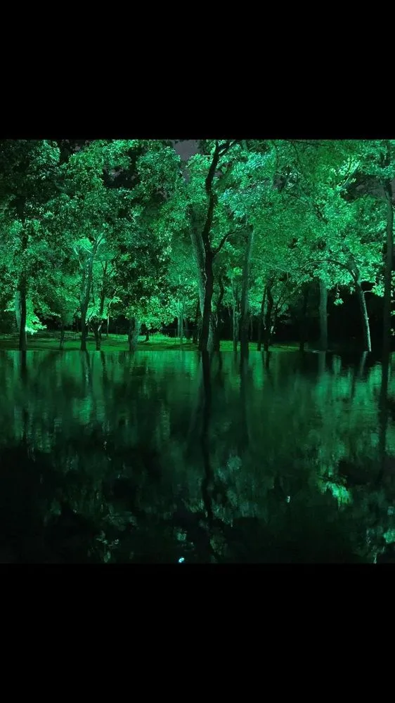 Top-rated landscape installation for residential properties across Richardson, TX - John Watson Landscape Illumination