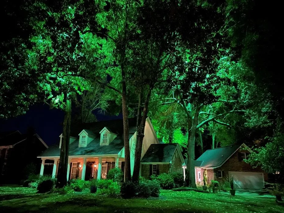 Expert lawn care service with custom design across Richardson, TX - John Watson Landscape Illumination