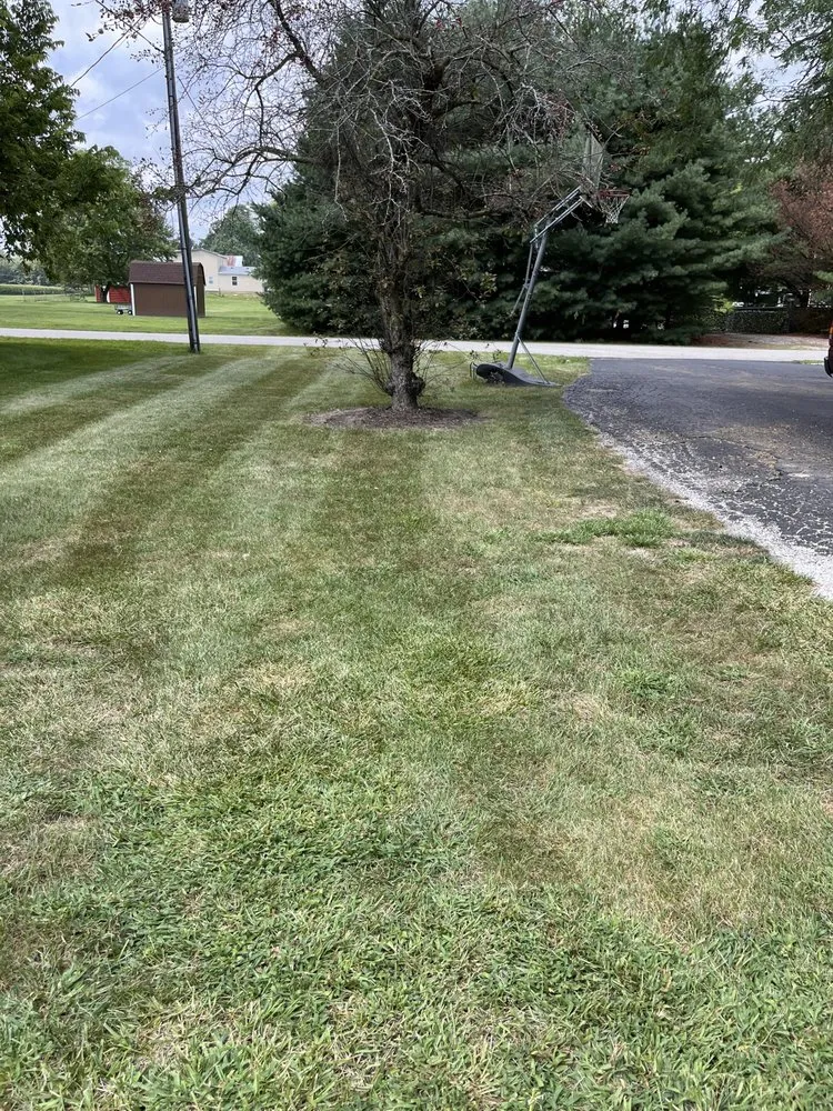 Trusted lawn care service for outdoor upgrades in Greenfield, IN by John Whiteside Landscaping Construction