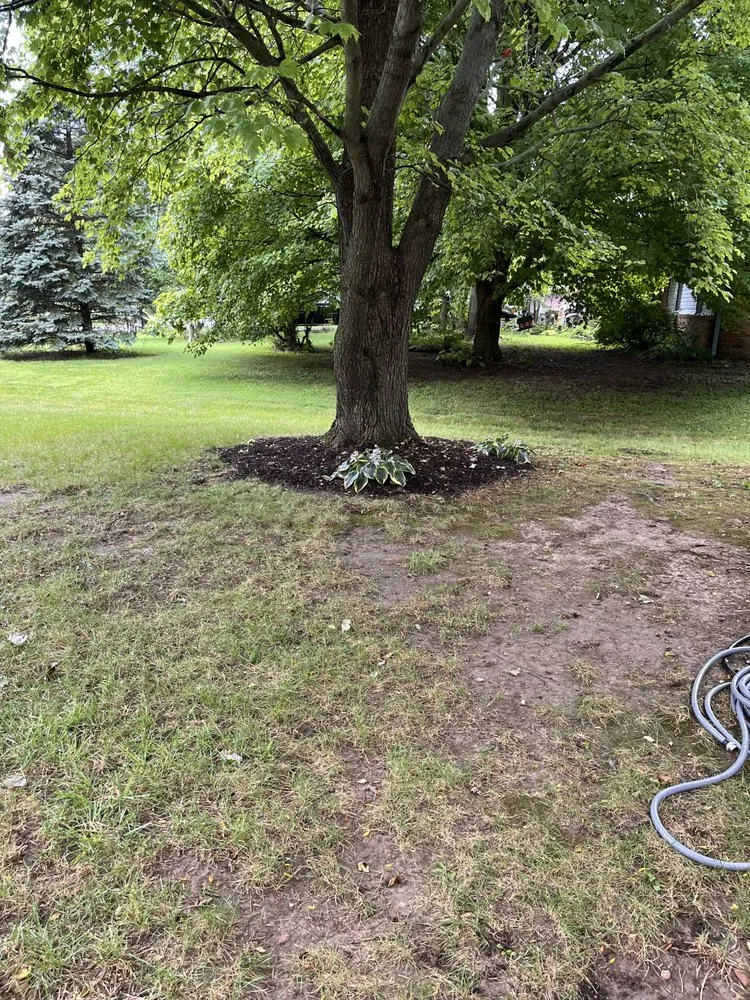 Professional yard cleanup service experts serving Greenfield, IN - John Whiteside Landscaping Construction