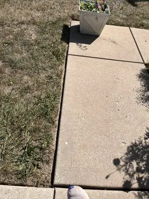 John Whiteside Landscaping Construction Logo