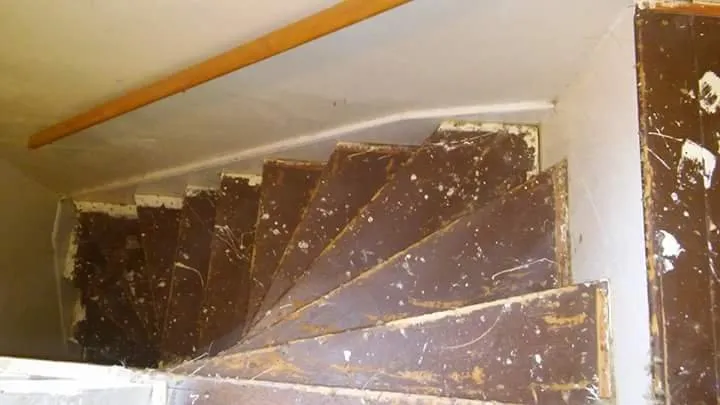 Top-rated garden landscaping experts serving Pottstown, PA - John316 Lawn & Tree