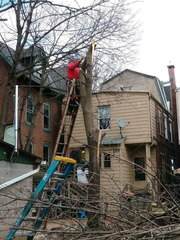 Affordable landscape design for outdoor upgrades in Pottstown, PA by John316 Lawn & Tree