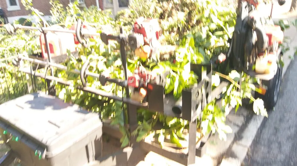 Expert outdoor landscaping for year-round maintenance across Pottstown, PA - John316 Lawn & Tree