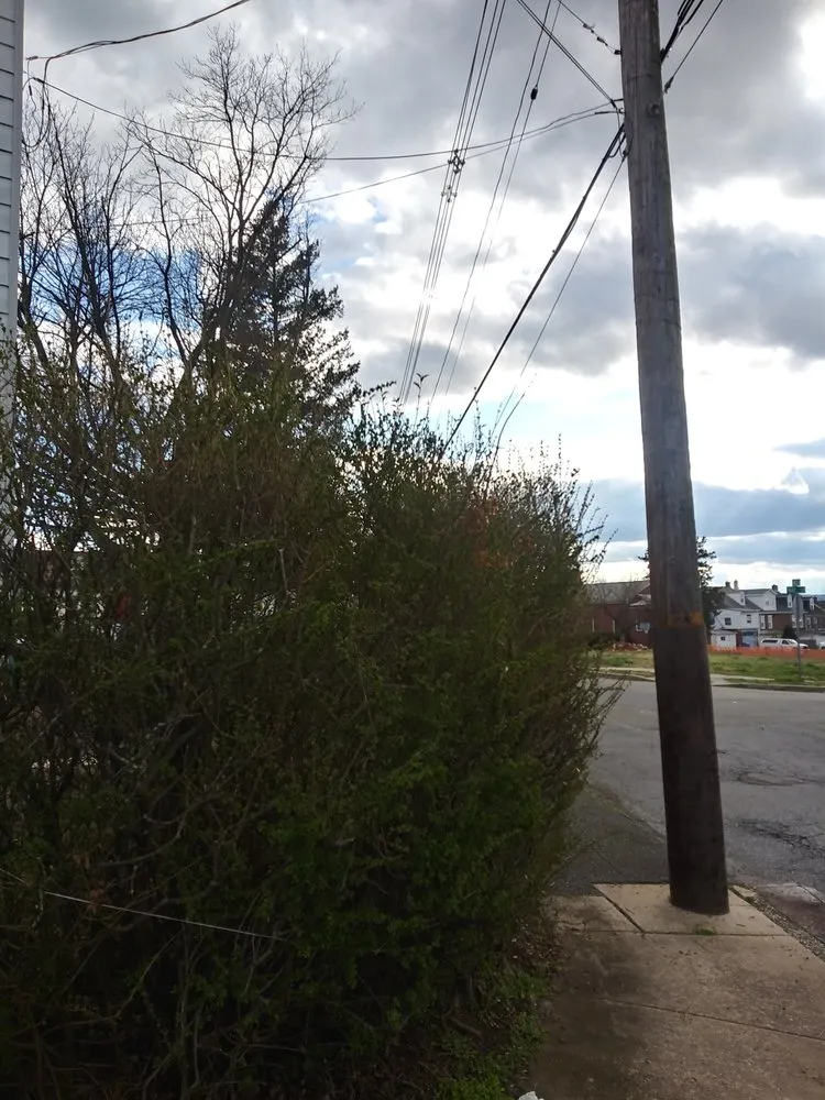 Custom garden landscaping in Pottstown, PA by John316 Lawn & Tree