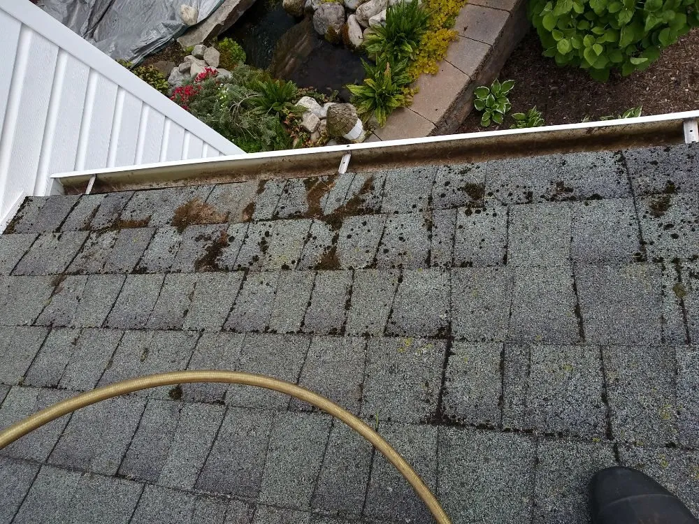 Reliable residential landscaping for residential properties across Pottstown, PA - John316 Lawn & Tree