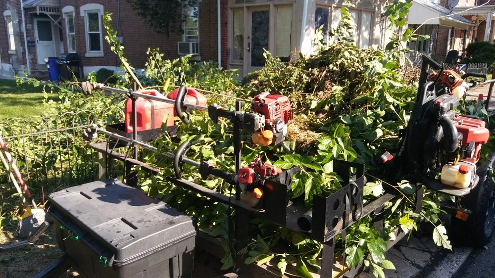 Professional yard cleanup service in Pottstown, PA - John316 Lawn & Tree