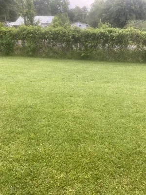 Johnathan’s Lawn Care Logo