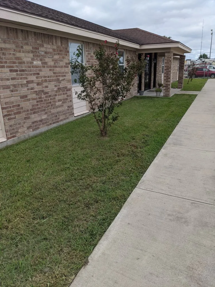 Expert yard cleanup service experts serving Port Lavaca, TX - Johnboy Mowing