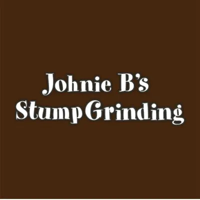 Professional landscape design in Bristol, CT - Johnie B's Stump Grinding