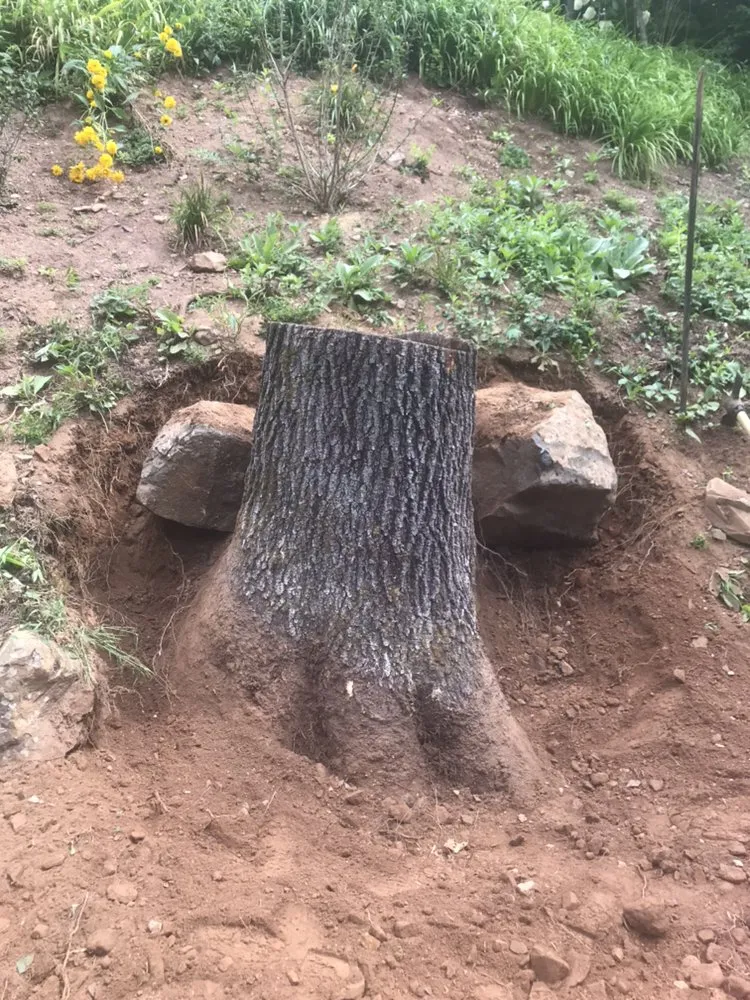 Trusted lawn mowing service for homes across Bristol, CT - Johnie B's Stump Grinding