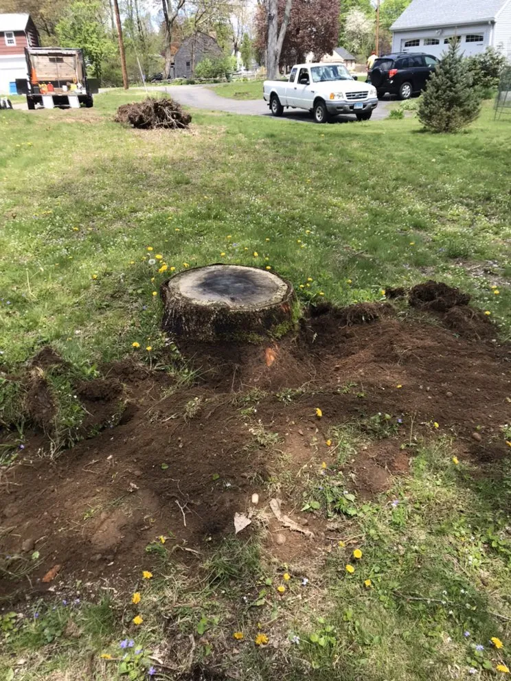 Professional yard cleanup service for outdoor upgrades in Bristol, CT by Johnie B's Stump Grinding