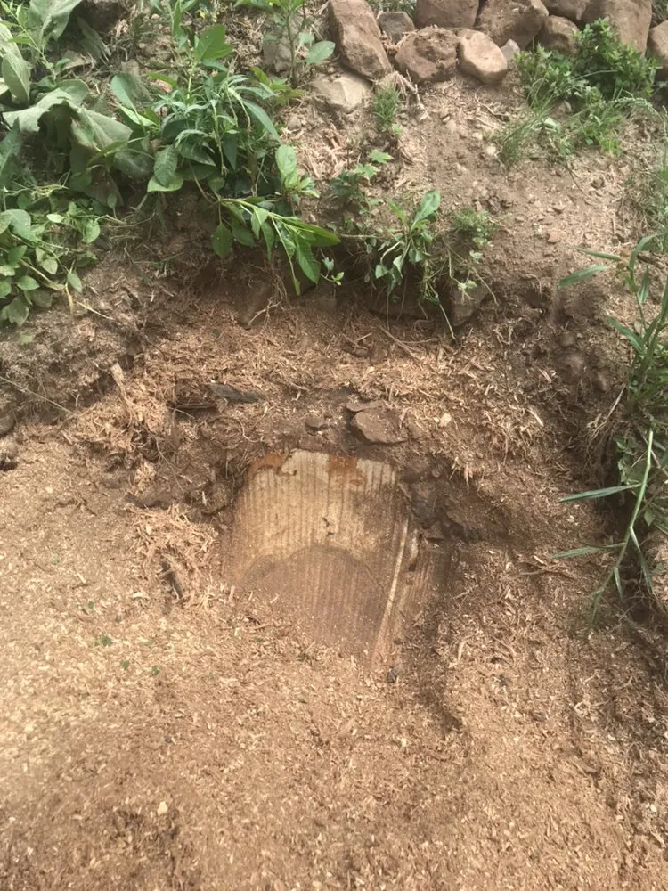 Local landscaping services in Bristol, CT - Johnie B's Stump Grinding