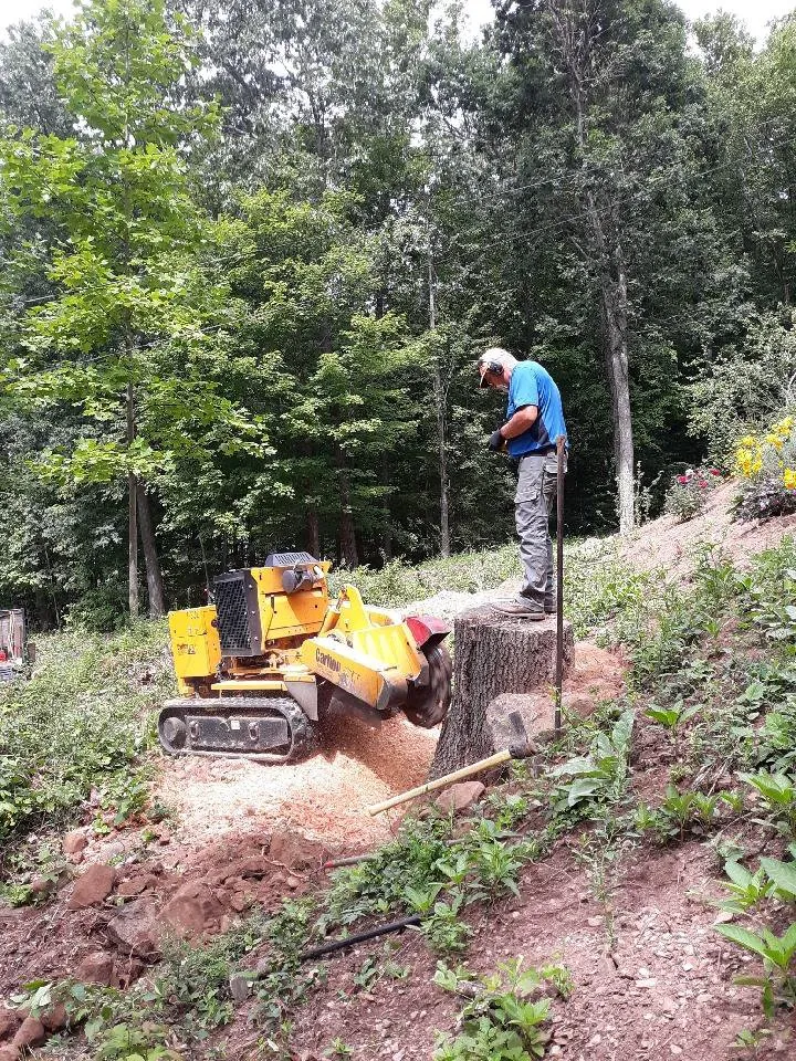 Custom yard maintenance in Bristol, CT by Johnie B's Stump Grinding