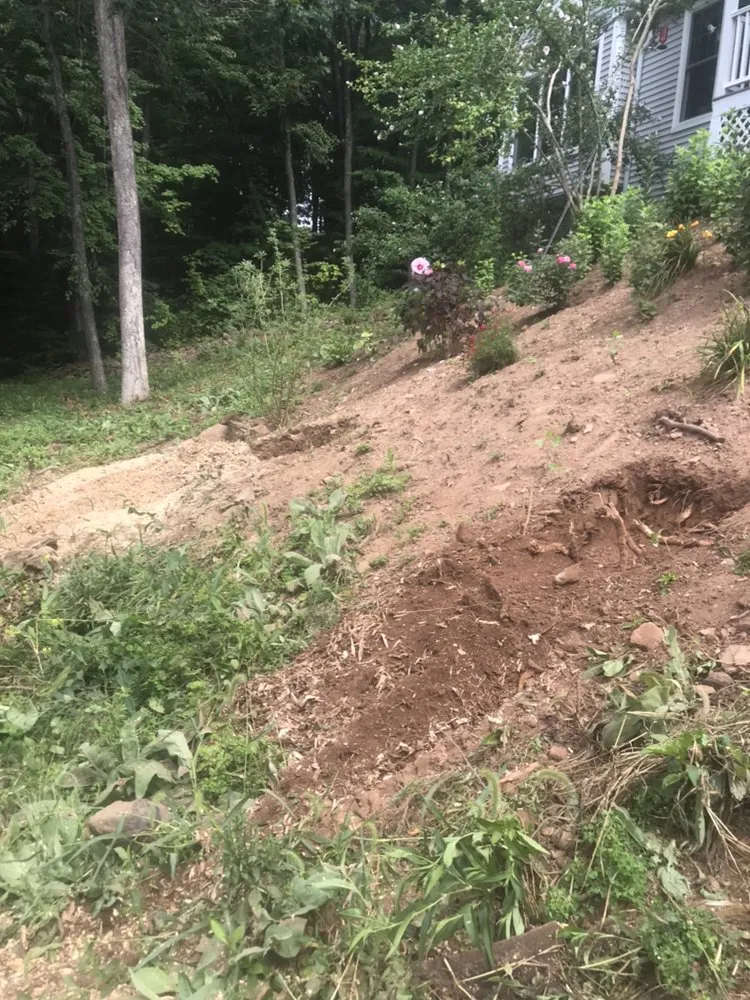 Affordable landscape installation in Bristol, CT - Johnie B's Stump Grinding