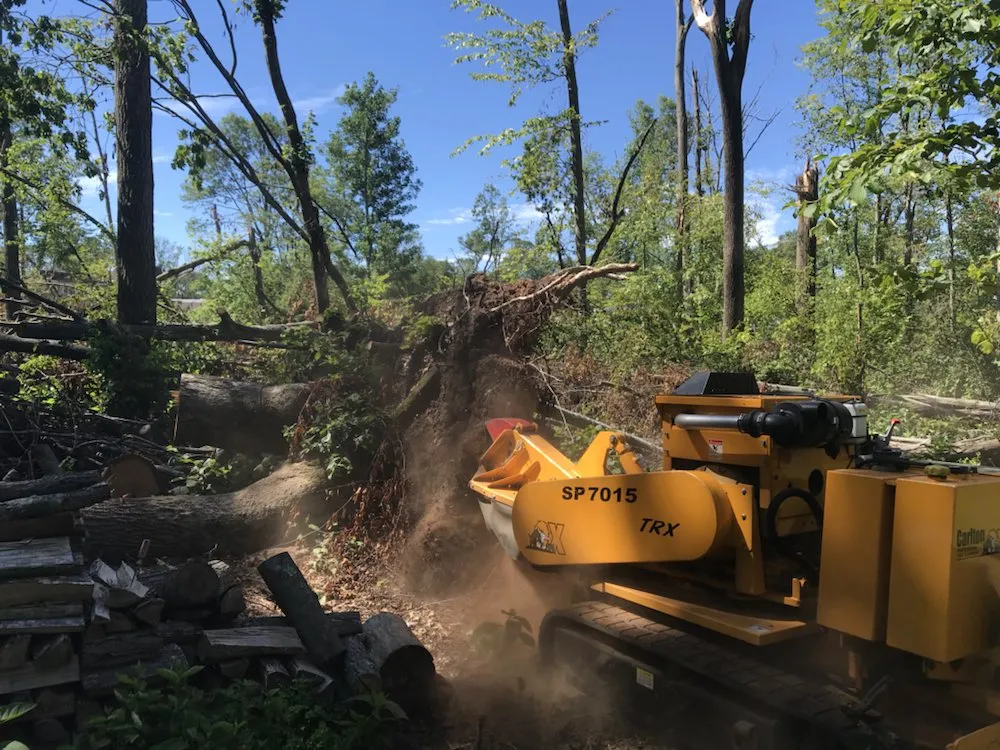 Professional lawn care service near you in Bristol, CT by Johnie B's Stump Grinding