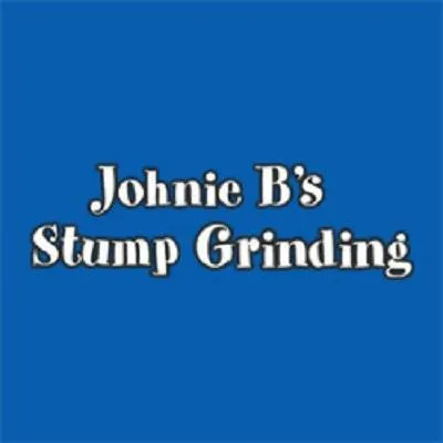 Top-rated lawn mowing service in Bristol, CT by Johnie B's Stump Grinding