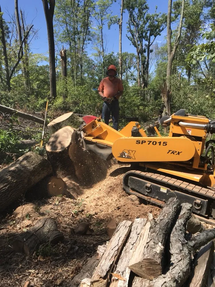 Professional garden landscaping experts serving Bristol, CT - Johnie B's Stump Grinding