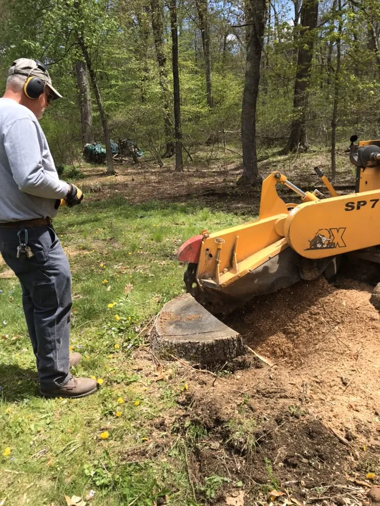 Reliable lawn mowing service experts serving Bristol, CT - Johnie B's Stump Grinding