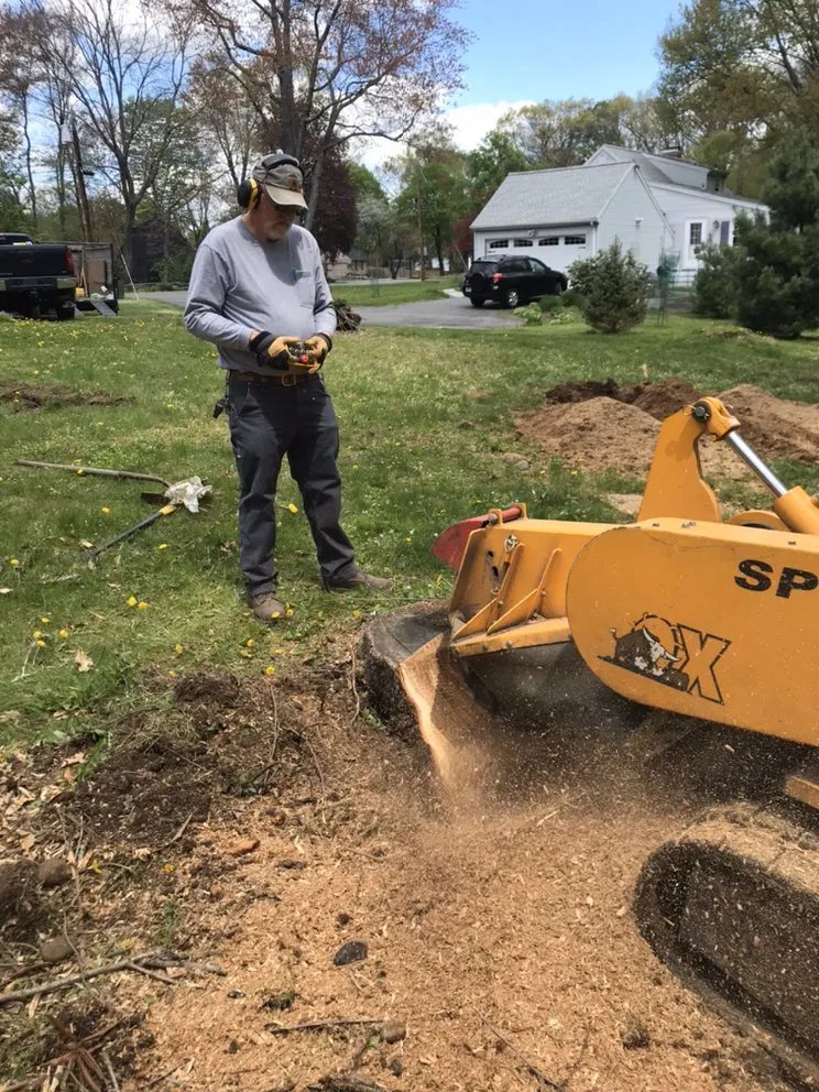 Custom residential landscaping in Bristol, CT by Johnie B's Stump Grinding