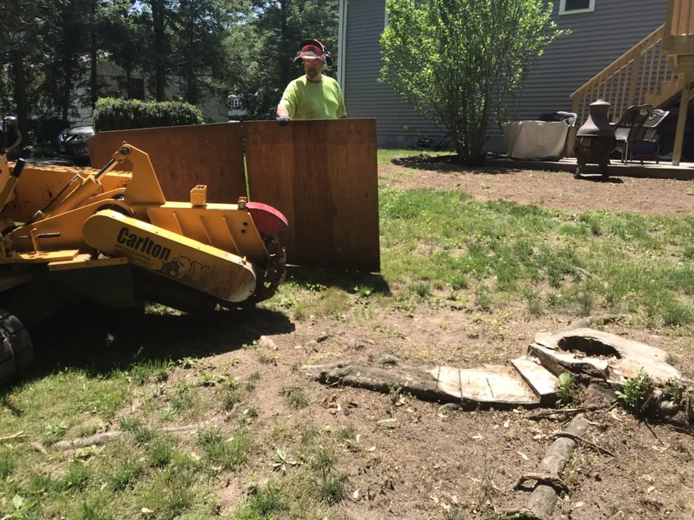 Expert outdoor landscaping in Bristol, CT by Johnie B's Stump Grinding