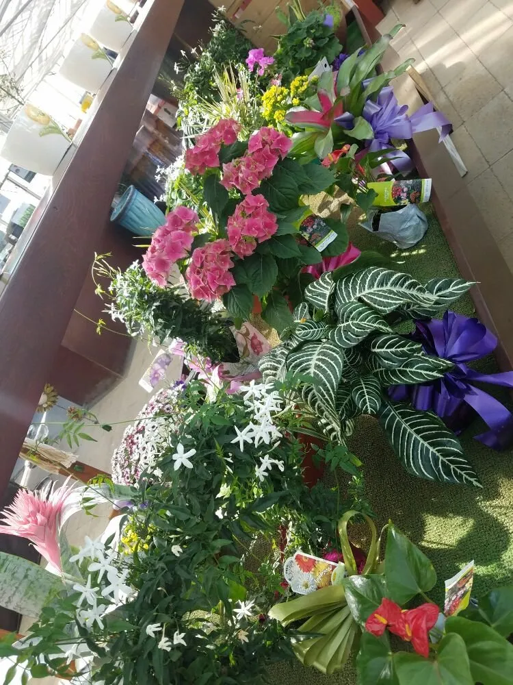 Local landscape installation in Casper, WY - Johnny Appleseed