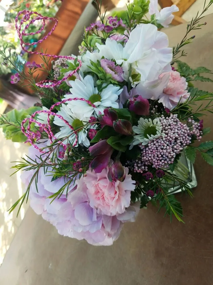 Professional garden landscaping for beautiful yards across Casper, WY - Johnny Appleseed