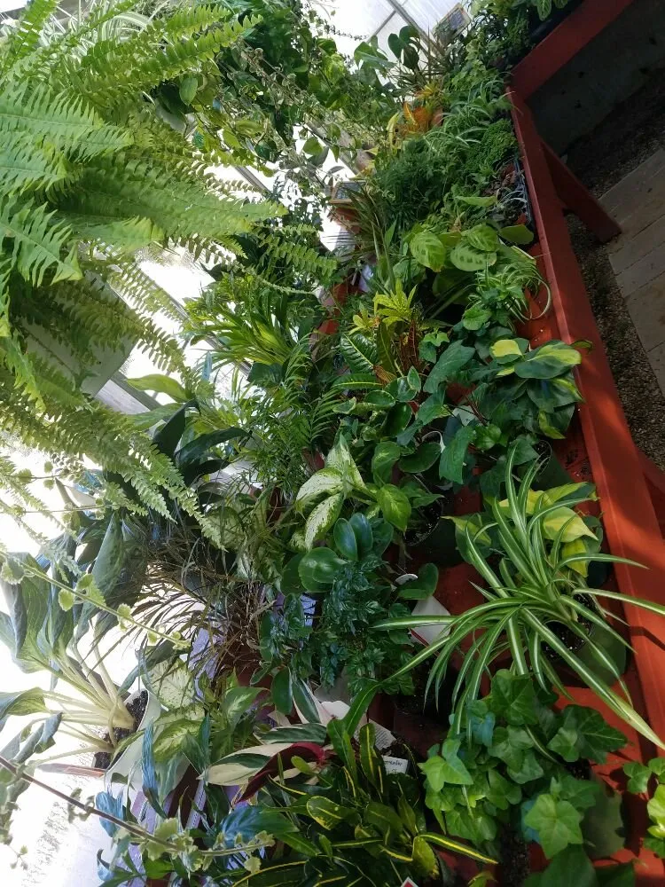 Expert landscape design experts serving Casper, WY - Johnny Appleseed