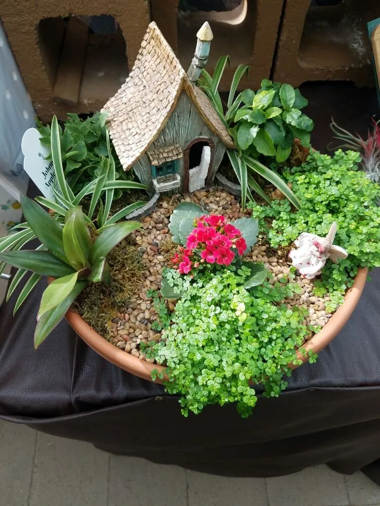 Reliable landscaping services in Casper, WY - Johnny Appleseed