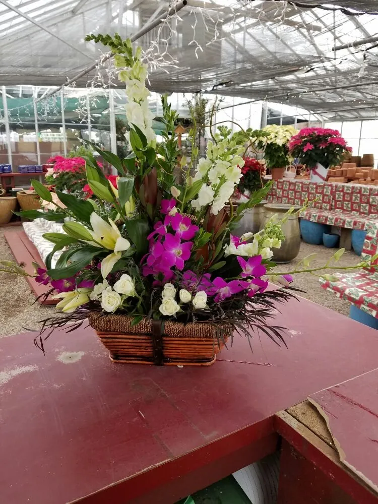 Expert residential landscaping in Casper, WY by Johnny Appleseed