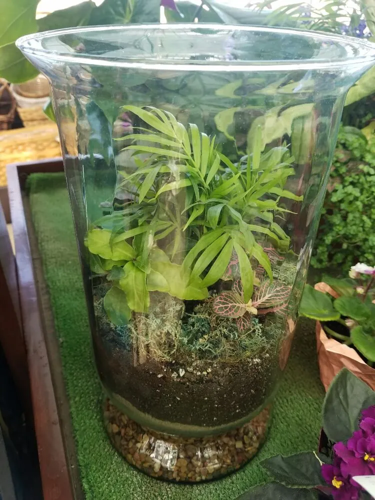 Reliable landscape design in Casper, WY by Johnny Appleseed