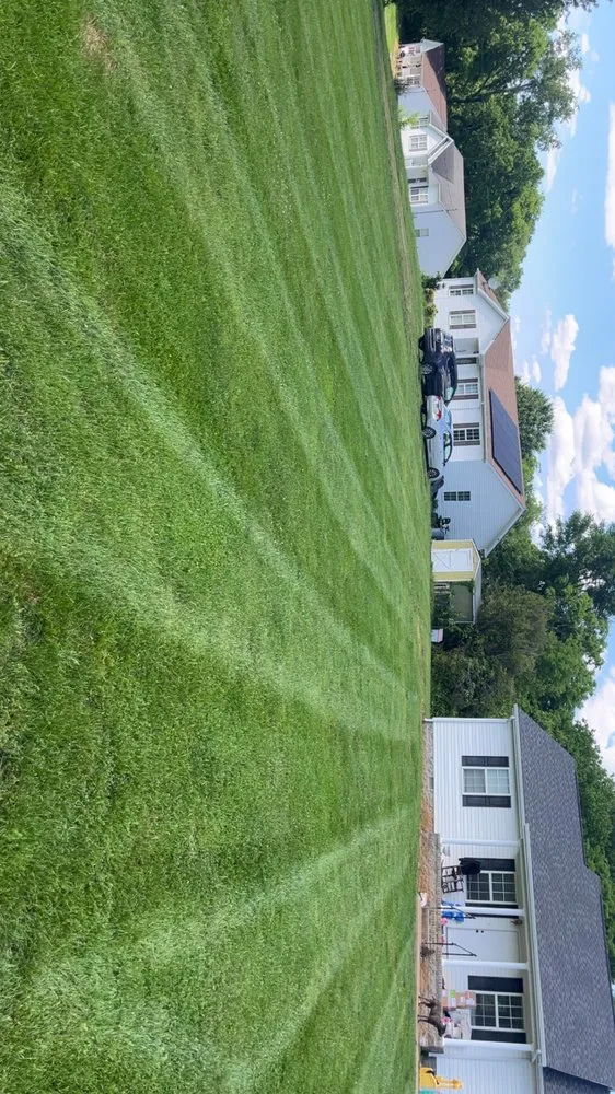 Affordable lawn care service experts serving Shelbyville, TN - Johnny Bee Lawn Care Services