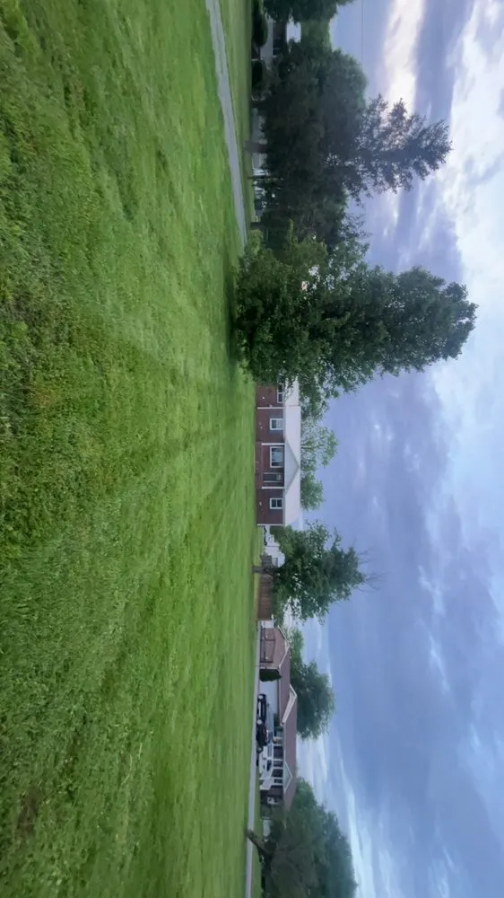 Top-rated yard cleanup service near you in Shelbyville, TN by Johnny Bee Lawn Care Services