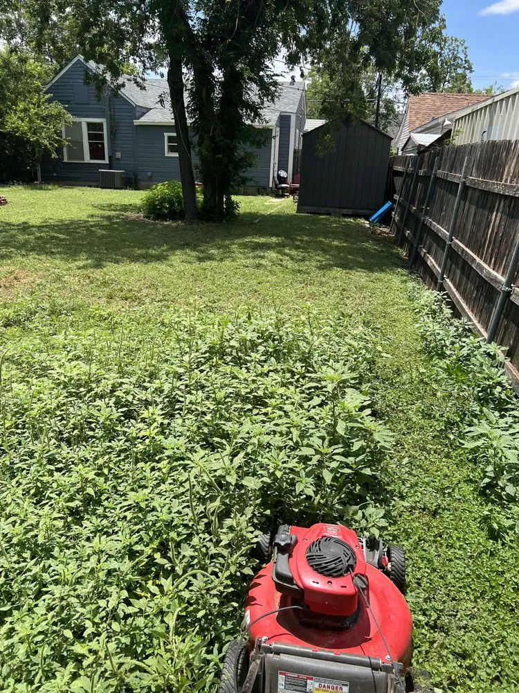 Affordable garden landscaping experts serving Abilene, TX - Johnny Bunch’s Lawn Care Service