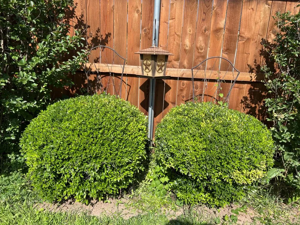 Trusted landscape design for year-round maintenance across Abilene, TX - Johnny Bunch’s Lawn Care Service